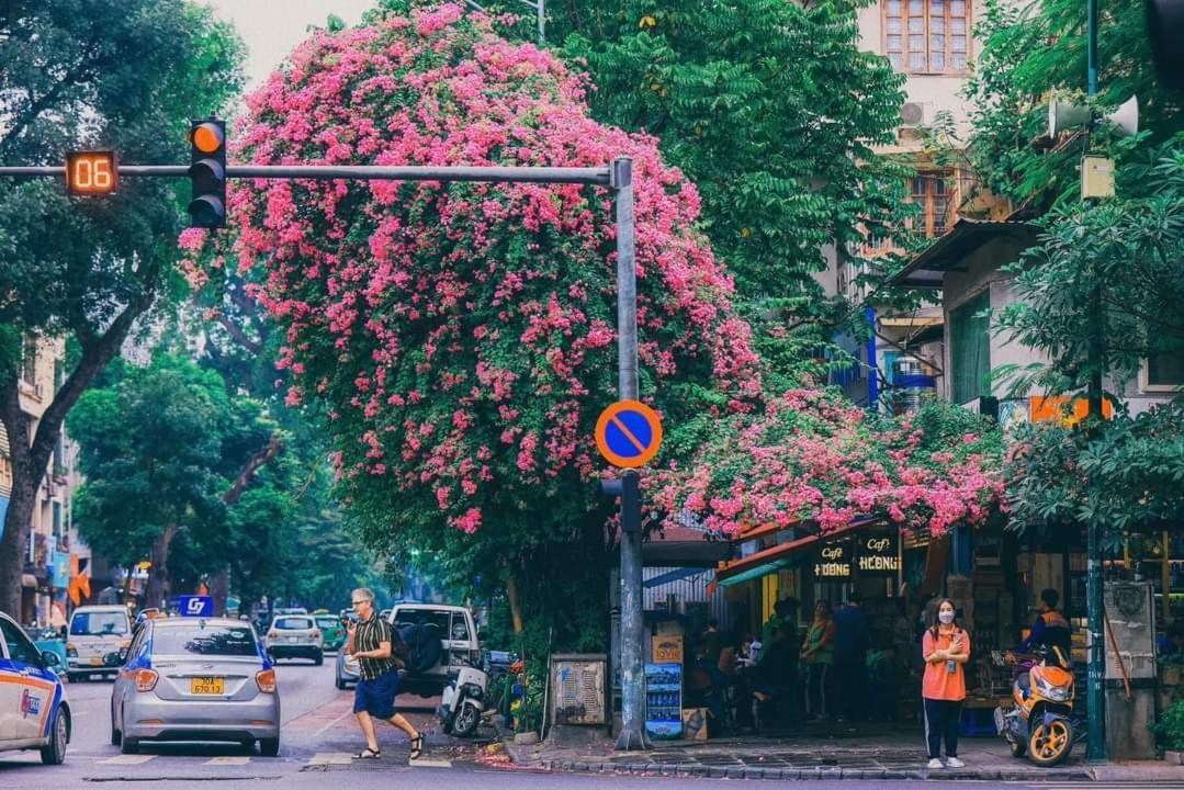 Tropical Land Little Hanoi Homestay Exteriör bild