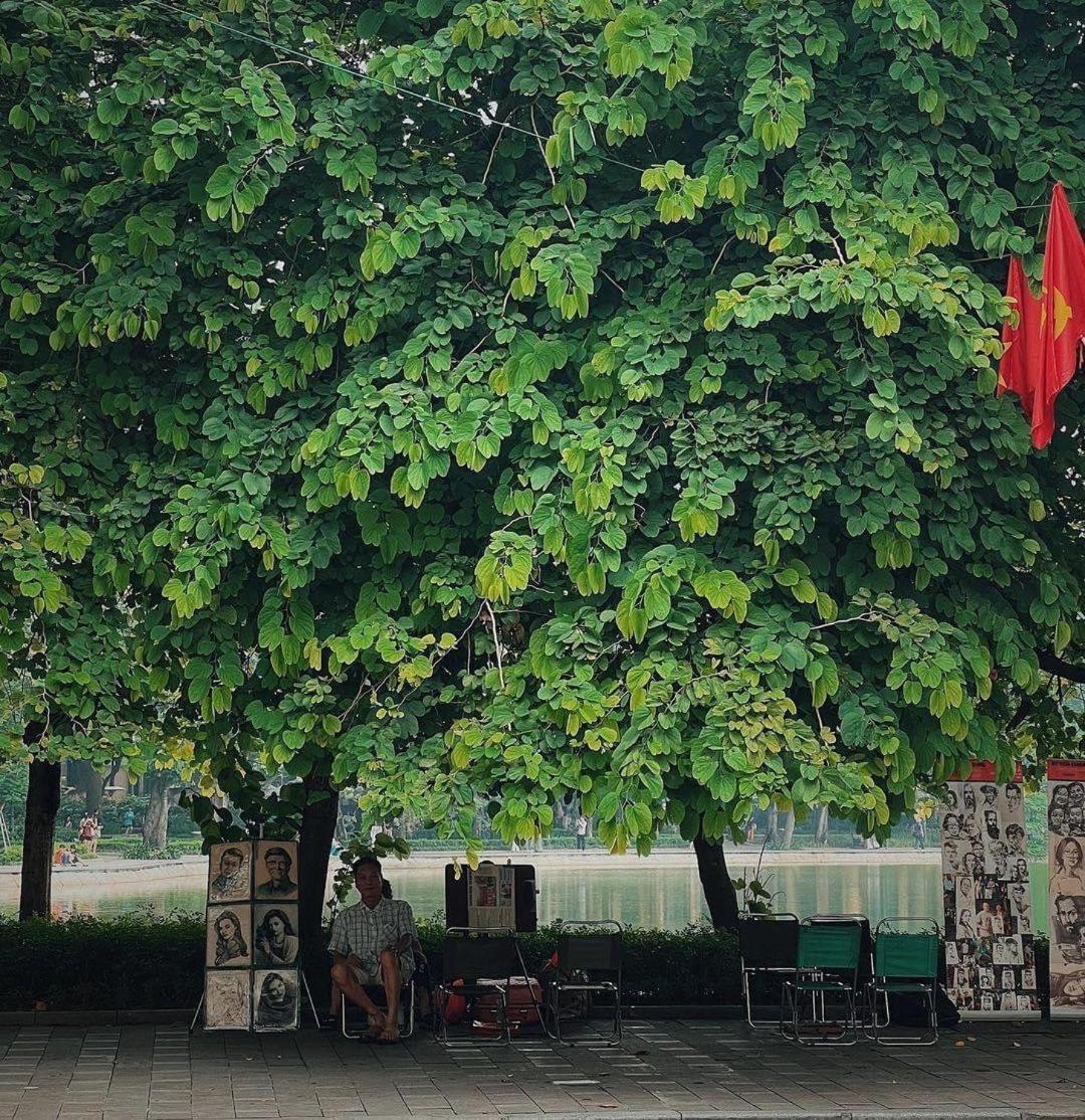 Tropical Land Little Hanoi Homestay Exteriör bild