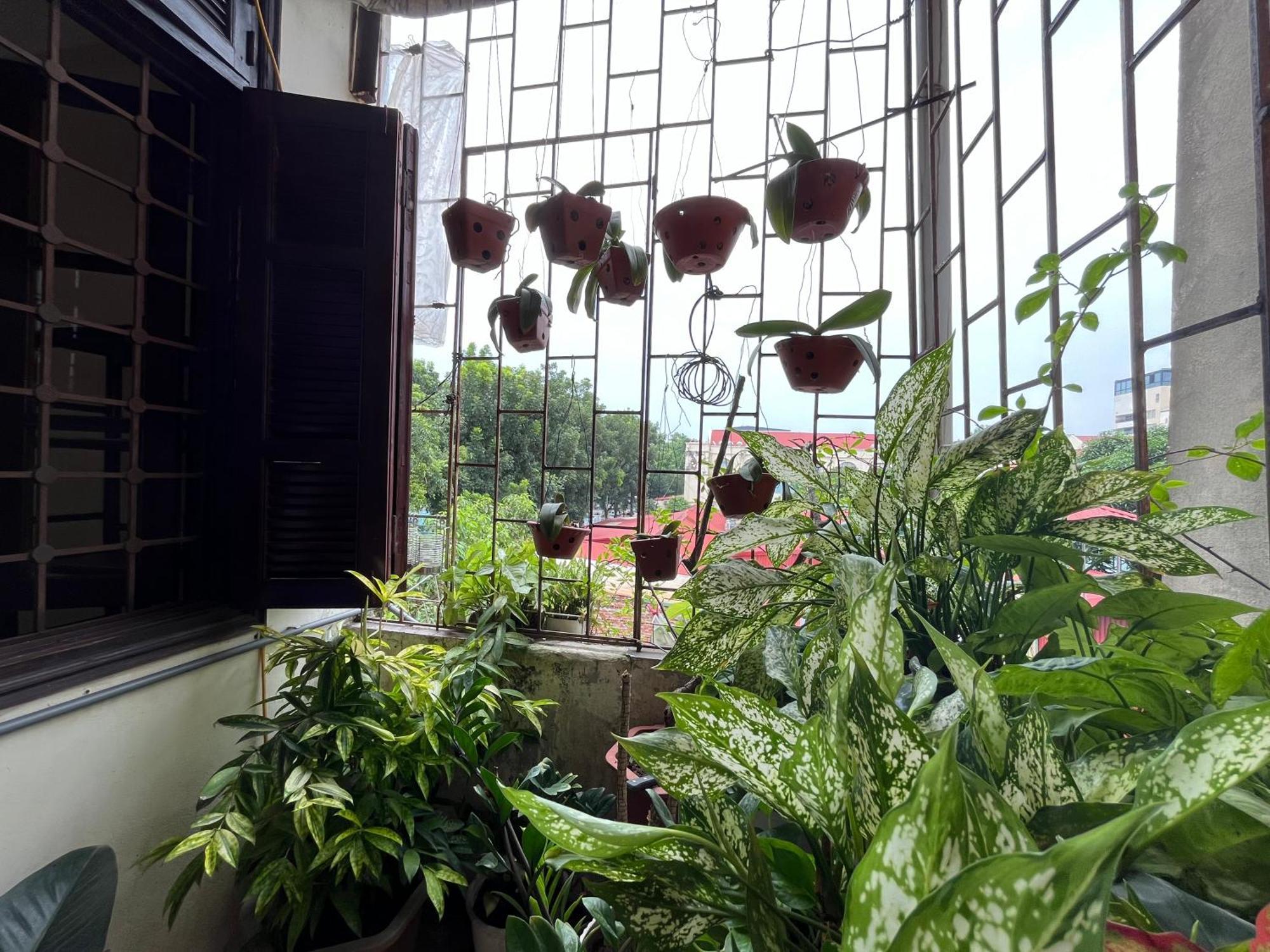 Tropical Land Little Hanoi Homestay Exteriör bild